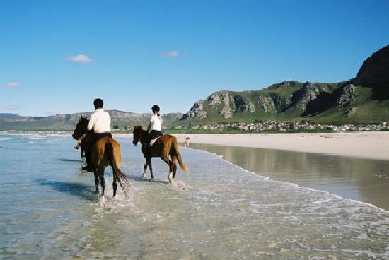 Dawn'S Place Hermanus Exterior foto